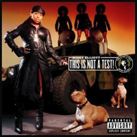 Illustration for article titled Cognitive dis: 21 great albums with questionable cover art (2000-2009)